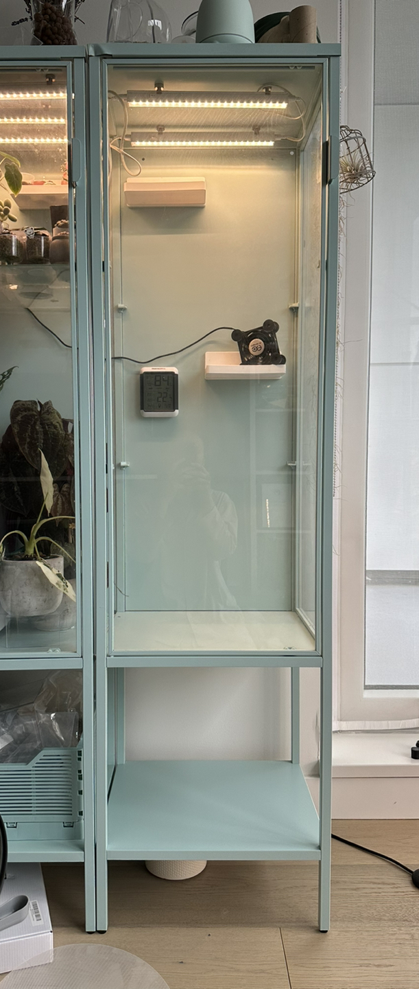 IKEA rudsta glass cabinet - discontinued colour