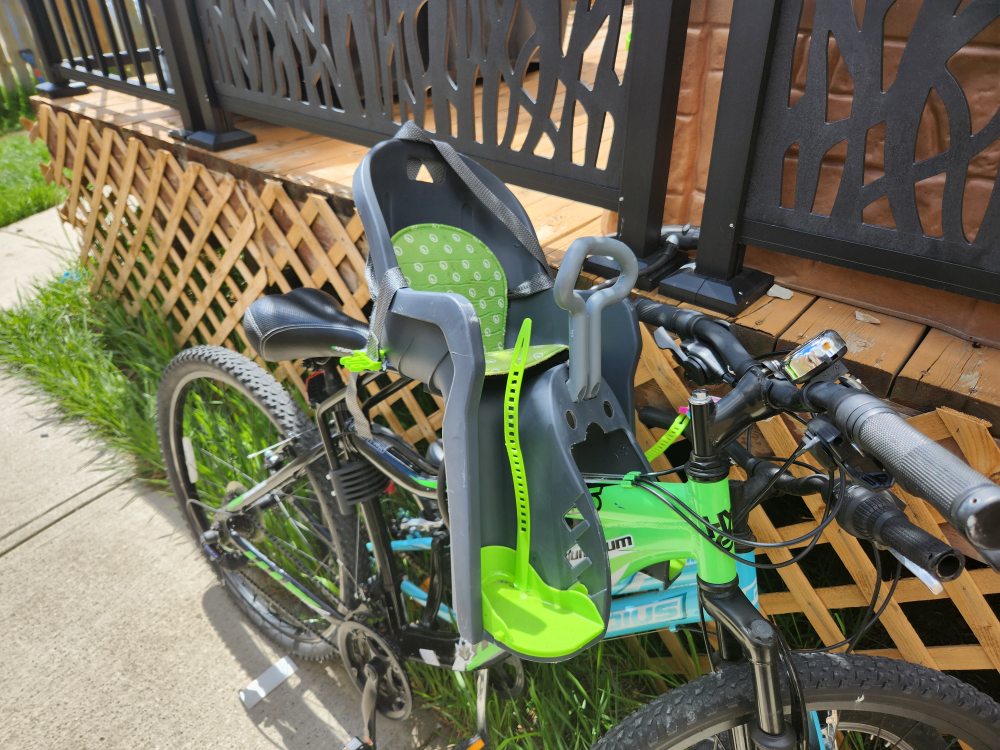 kids ride along seat
