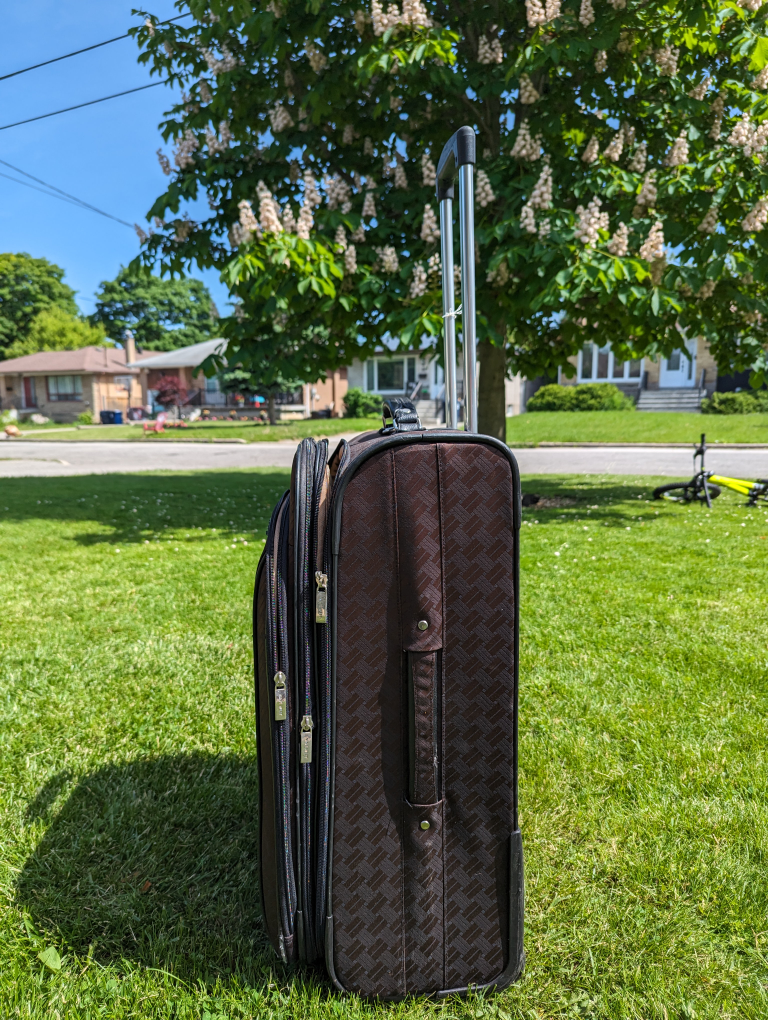 NINE WEST LARGE LUGGAGE - photo 4
