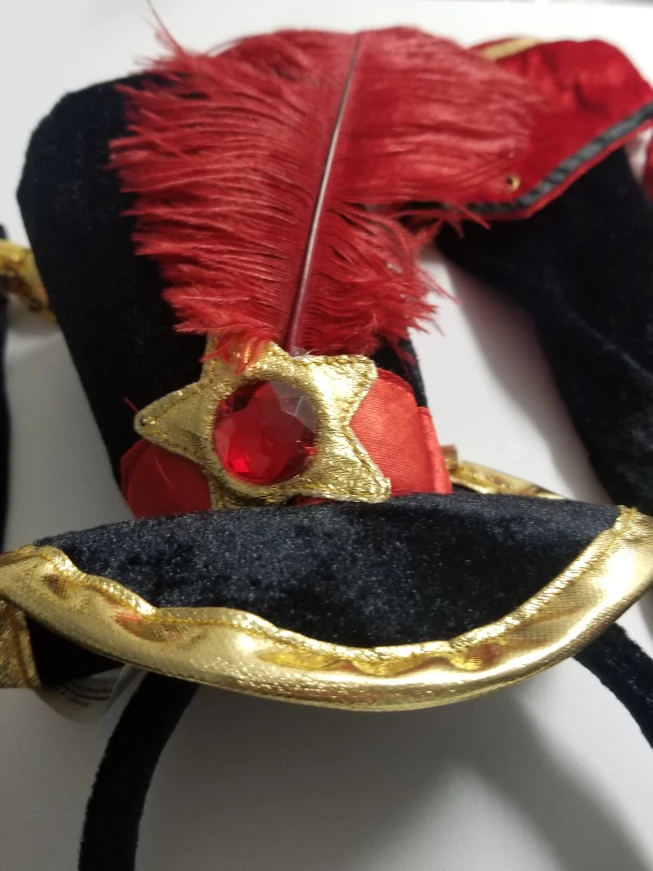 NEW! Dazzling Ringmaster Dress Up Halloween Costume, Retail $203 image indicator(6)