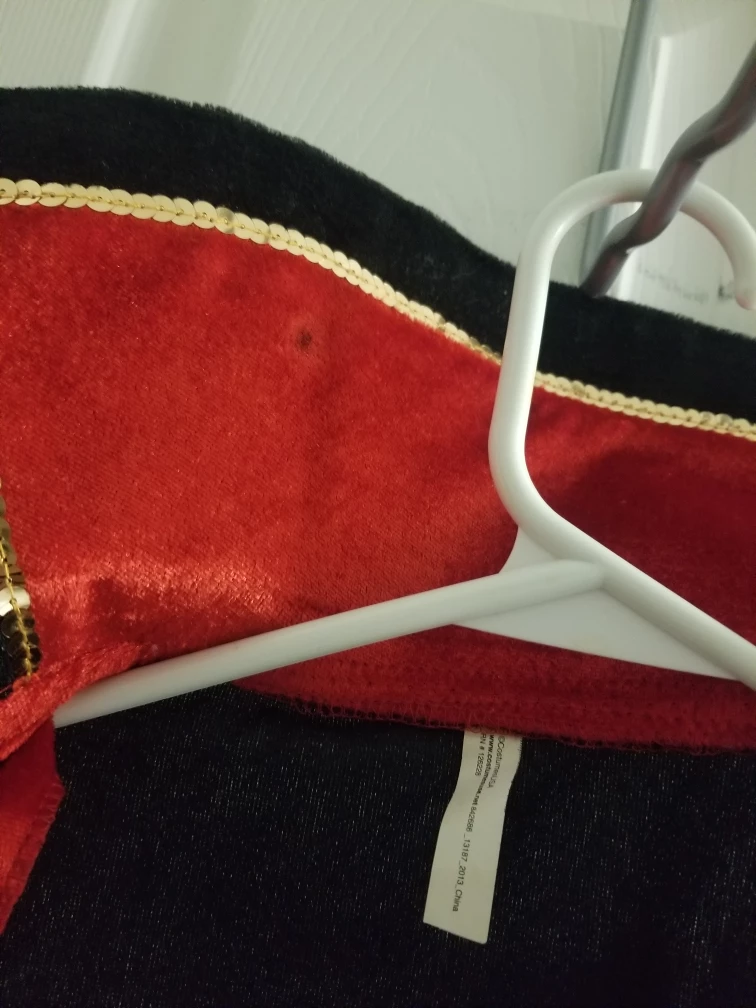 NEW! Dazzling Ringmaster Dress Up Halloween Costume, Retail $203 image indicator(9)