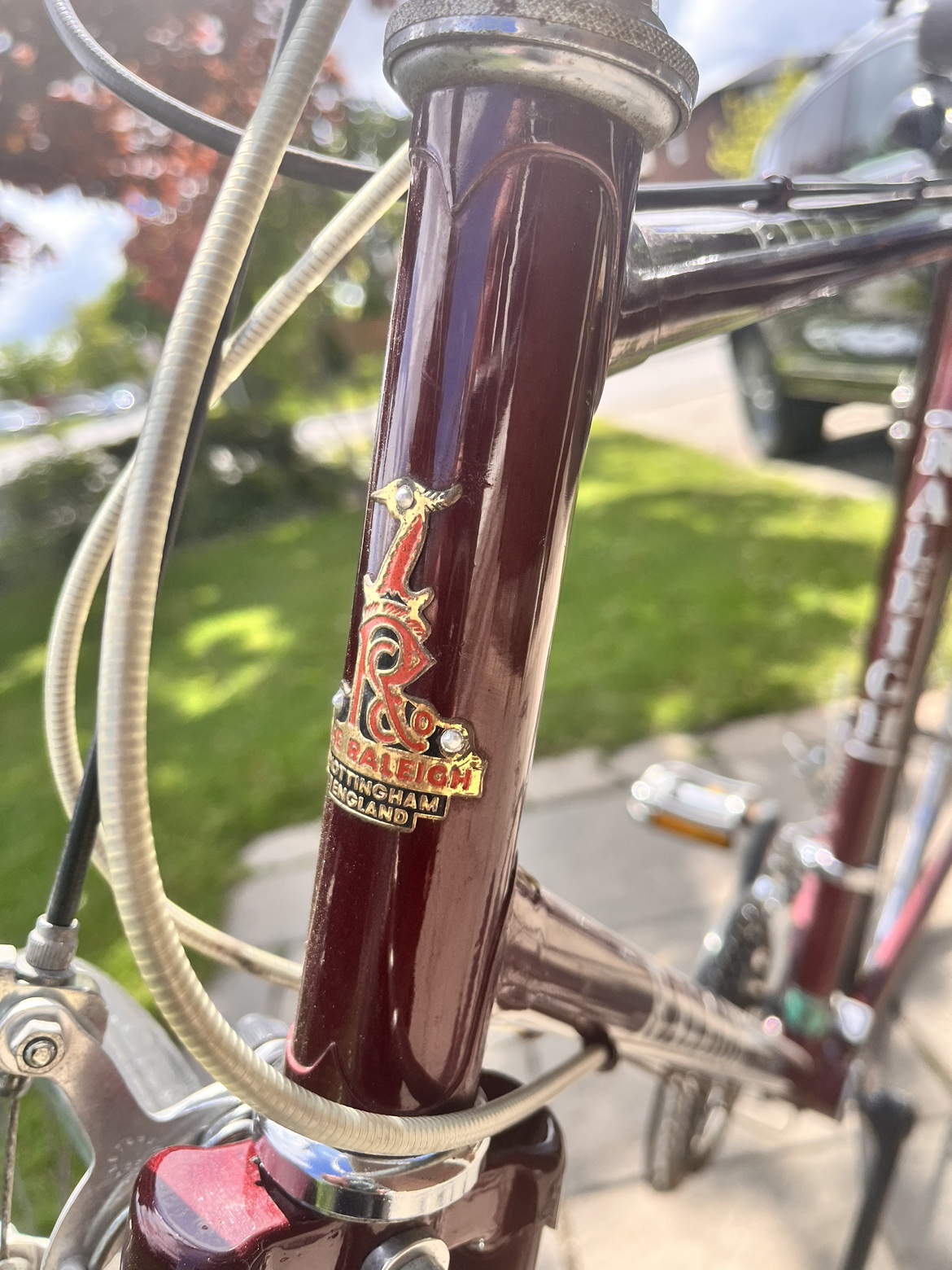 Raleigh Delta 10 Speed Bicycle image indicator(3)