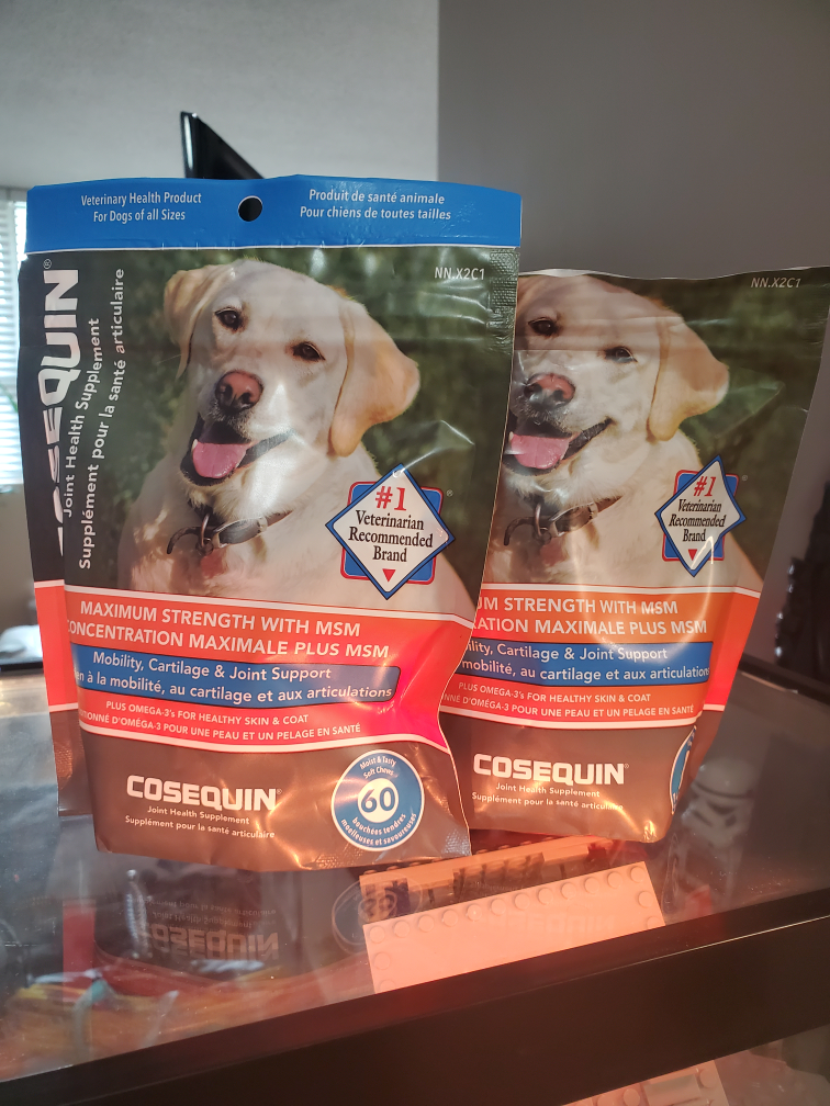 dog joint support