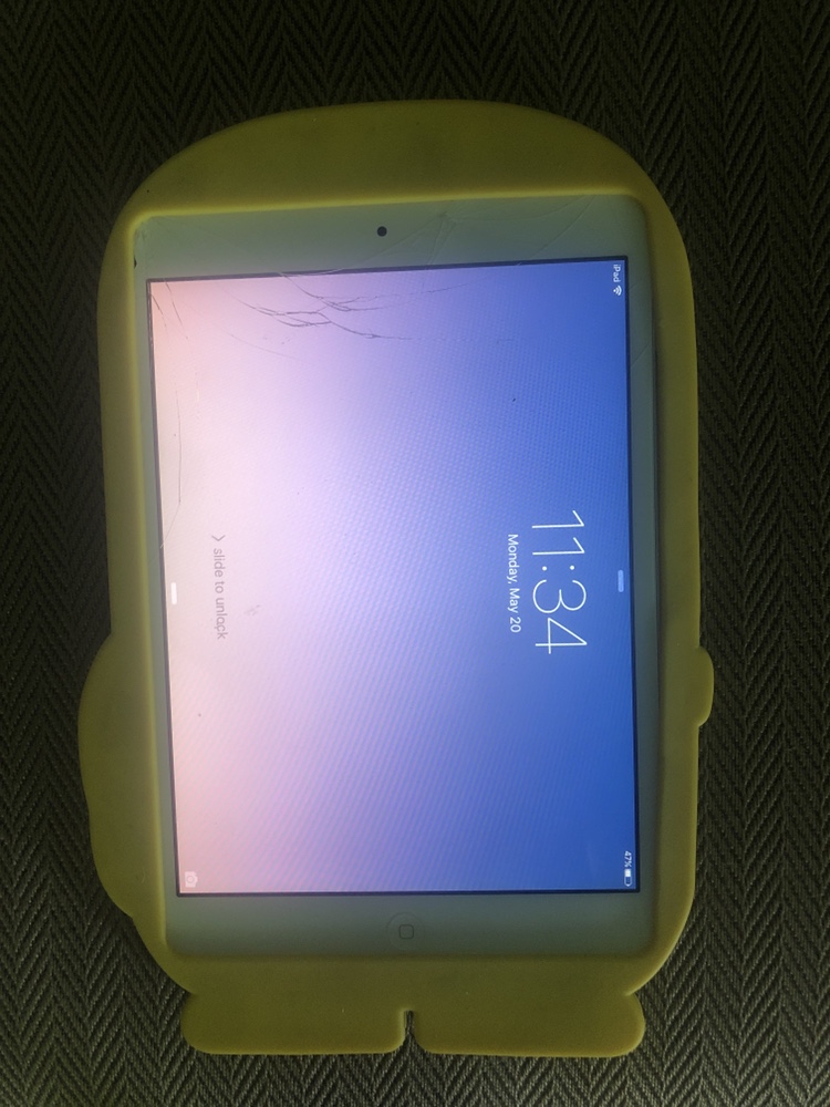 iPad mini - includes case