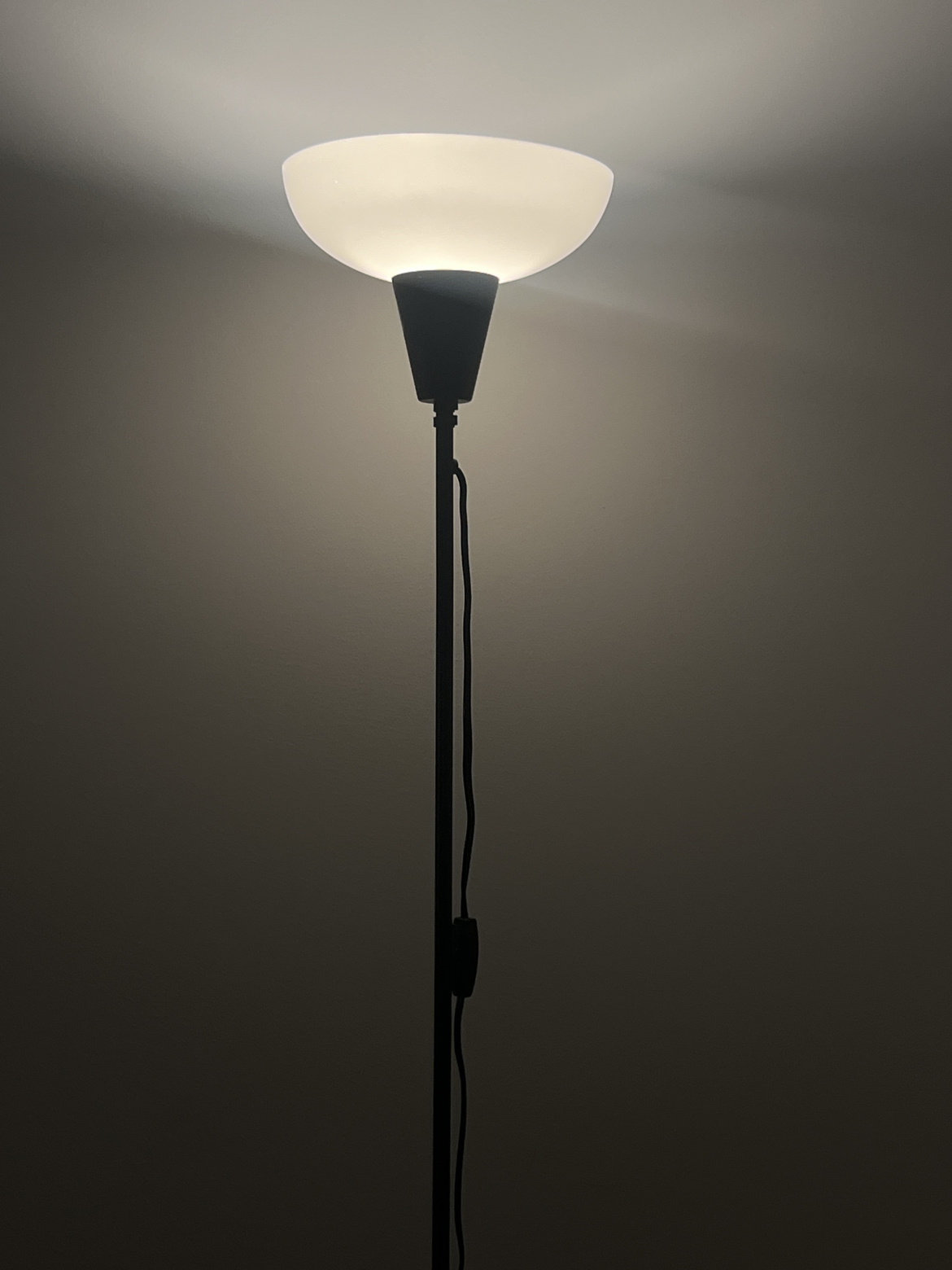 Stand light