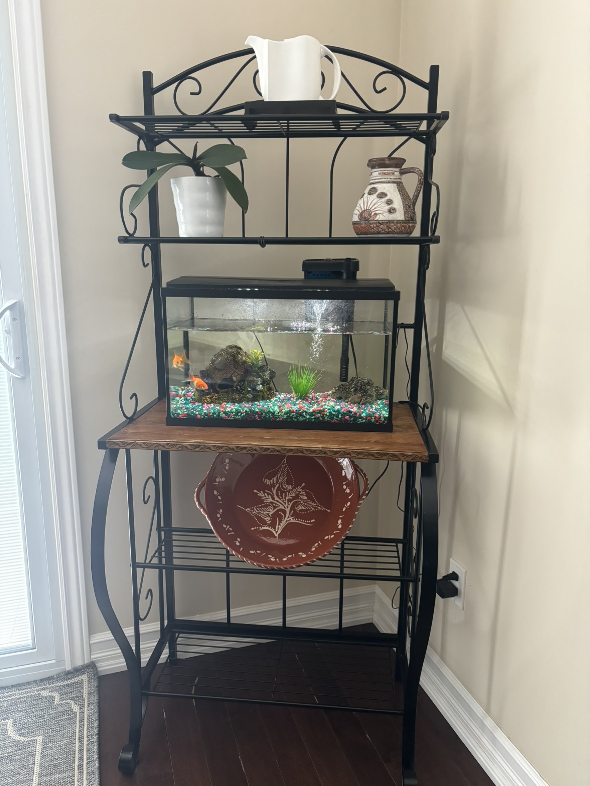 Book Care / Display Table