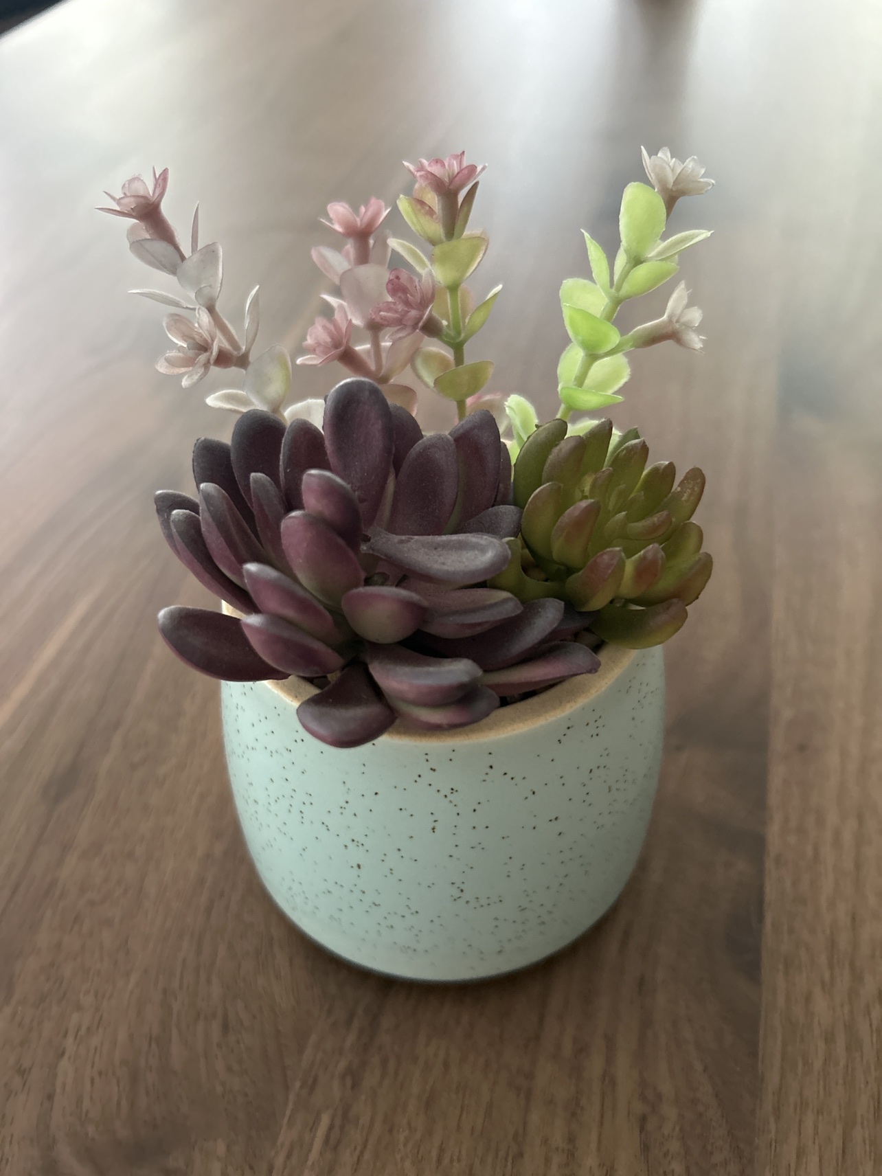 Faux succulent thumbnail
