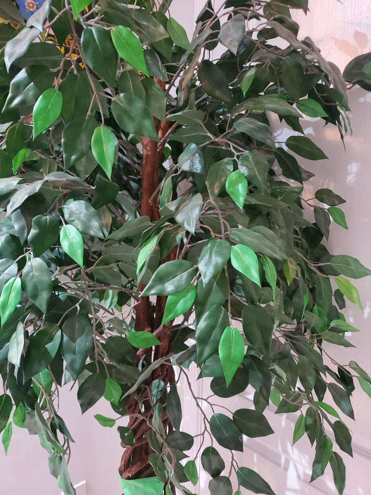 fake tree plant thumbnail