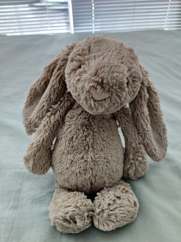 Jellycat bunny thumbnail