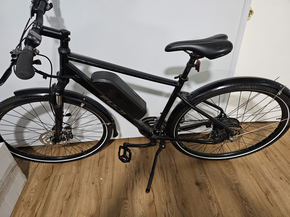 fugi electric bike new