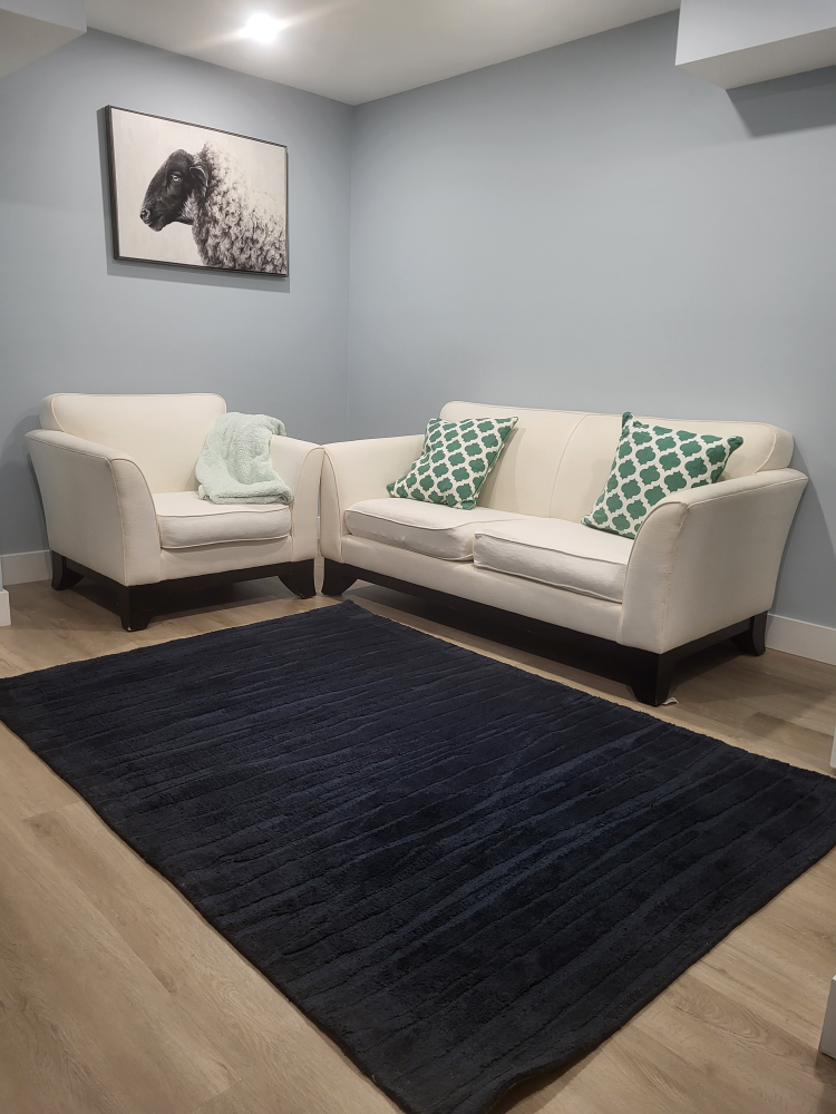 Pottery barn living  room set - photo 2