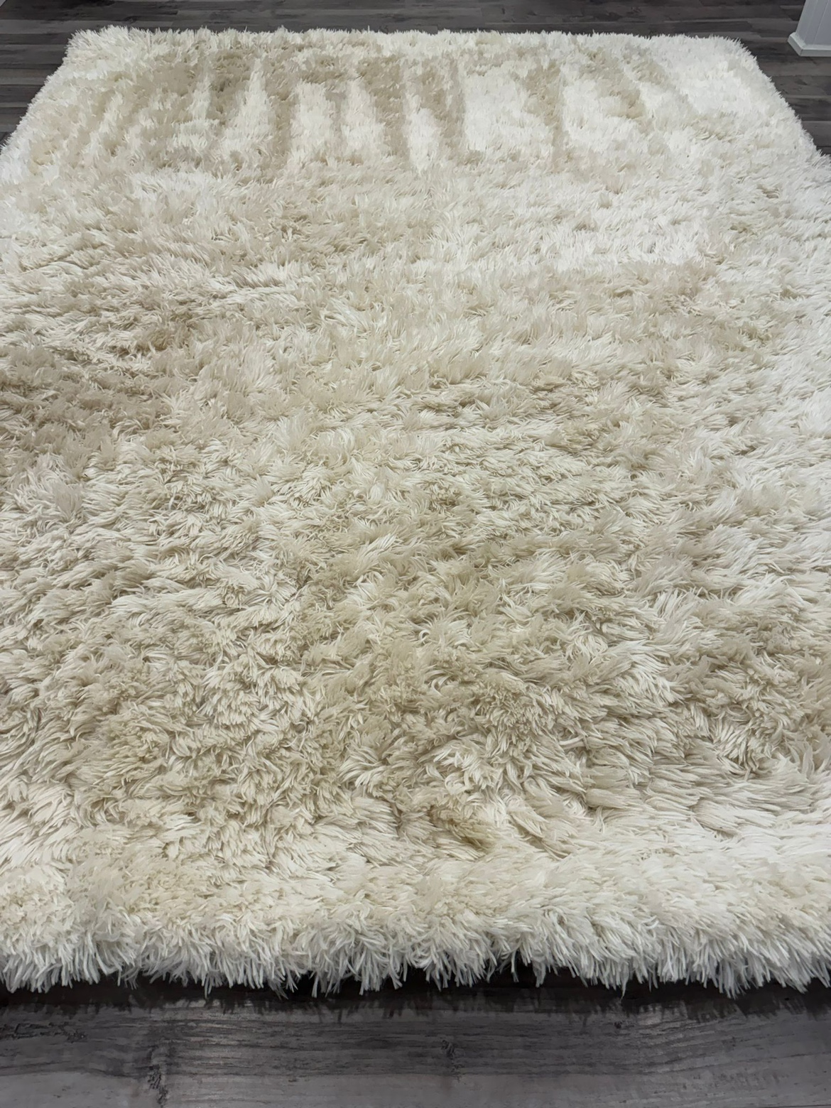 Shag Area Rug Ivory - photo 4