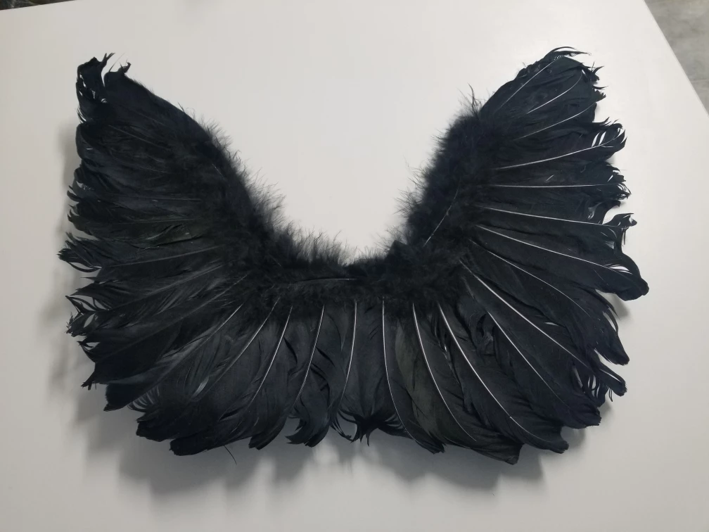 Black Angel Wings Halloween Costume, Photography / Cosplay image indicator(6)
