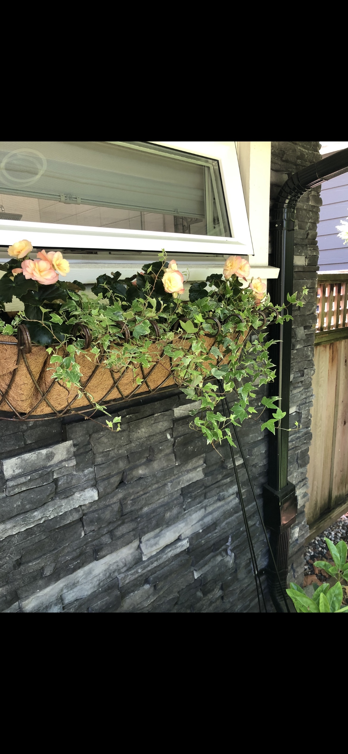 Rustic Wrought  iron window box - photo 4
