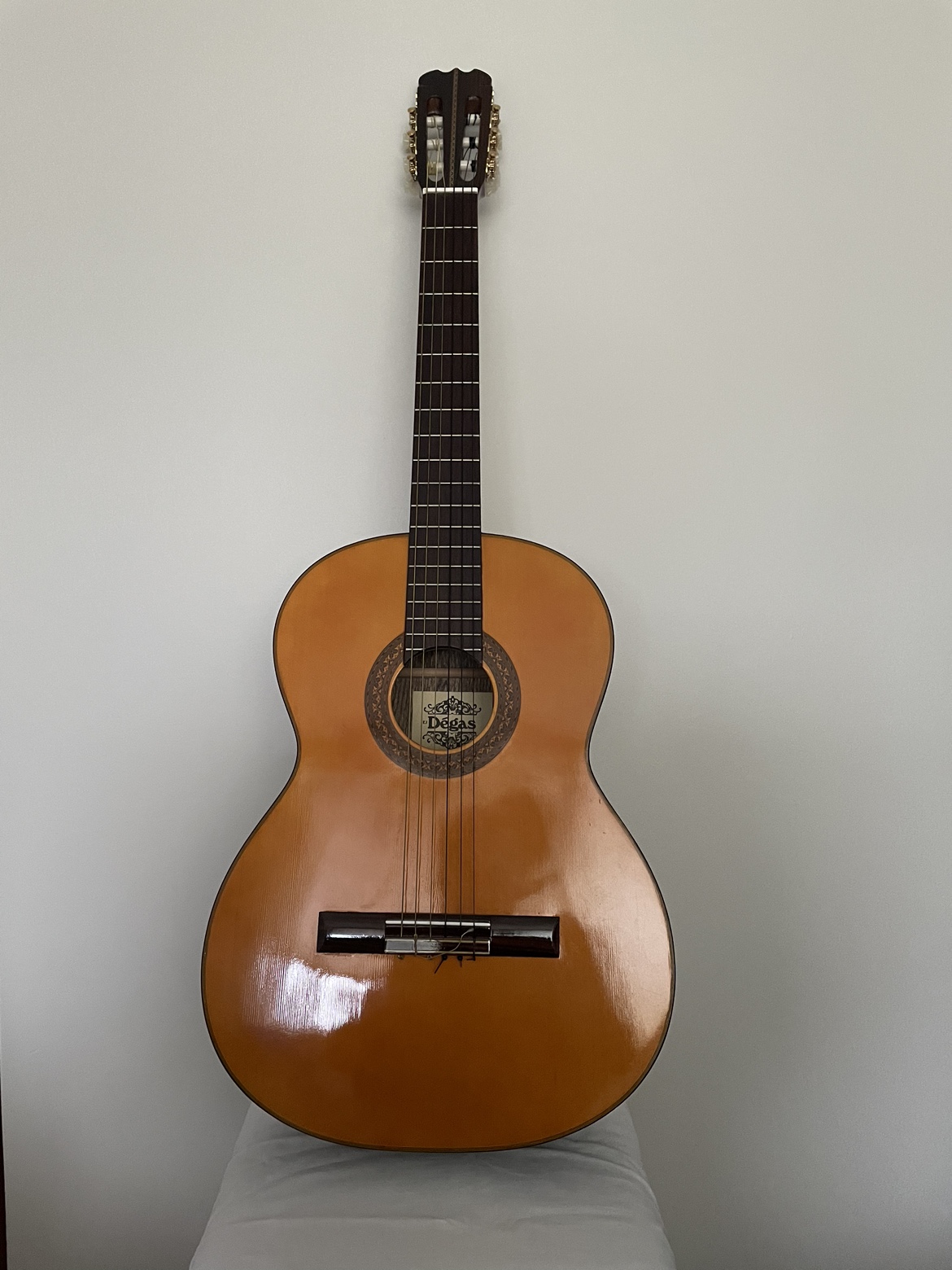 Acoustic Guitar + Carrying Case