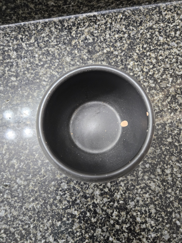 Small pot (3-4 inches?) 🥕 image indicator(3)