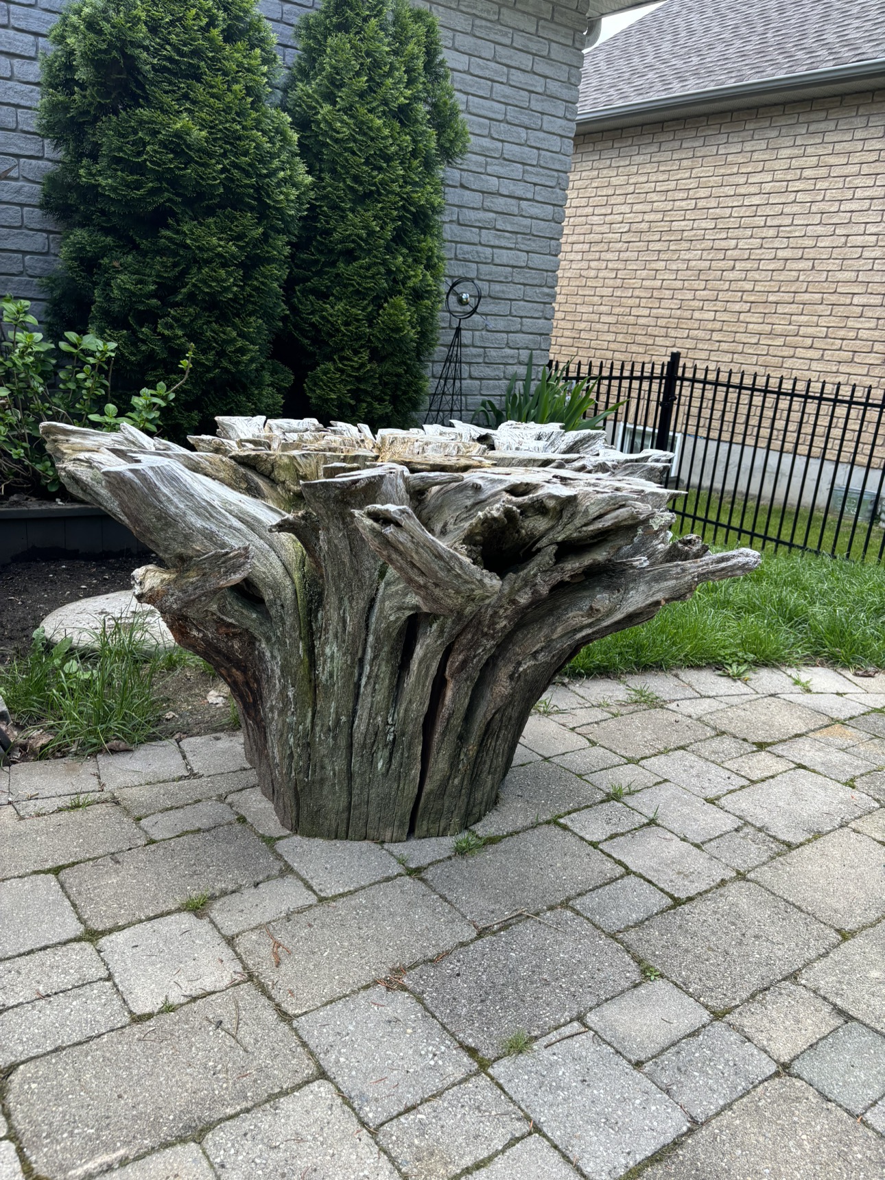 Whimsical Tree Stump Table Base - photo 2