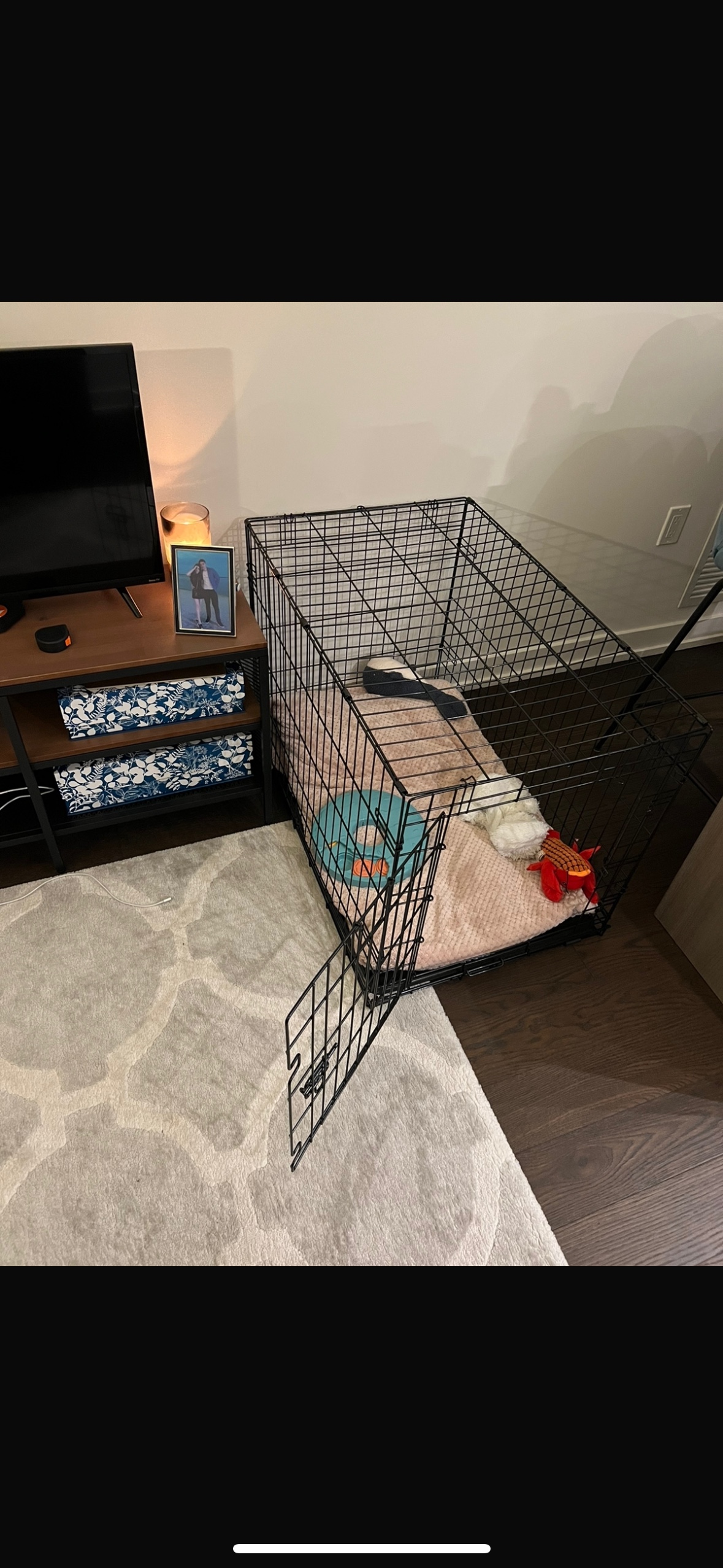 Pet’s crate  (up to 30kg) - photo 2