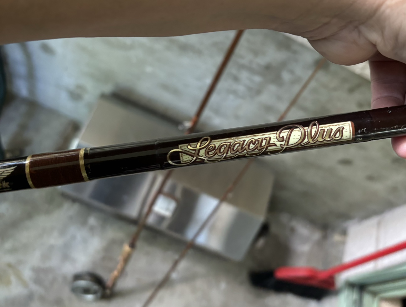 Legacy Plus fishing rod🥕 image indicator(2)