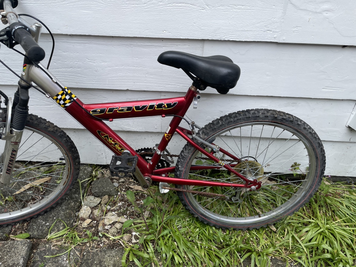 Gravity infinity Mountain Bike image indicator(8)