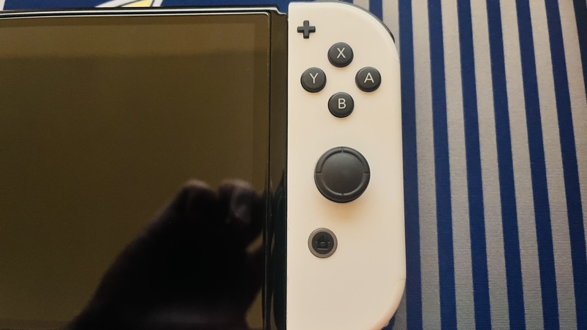 Nintendo Switch OLED - photo 4