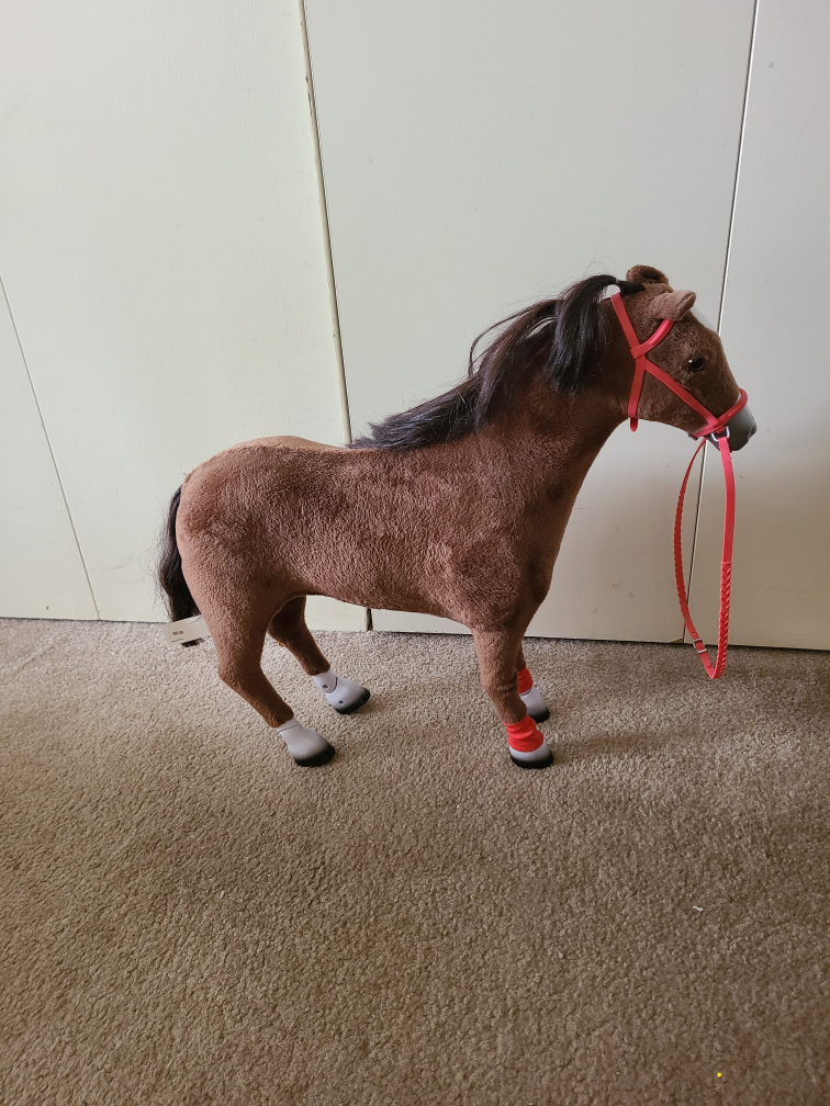 Girl's My Life collector horse image indicator(2)