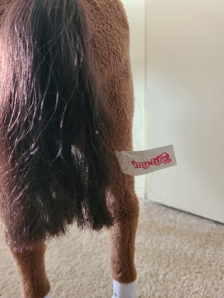 Girl's My Life collector horse image indicator(3)