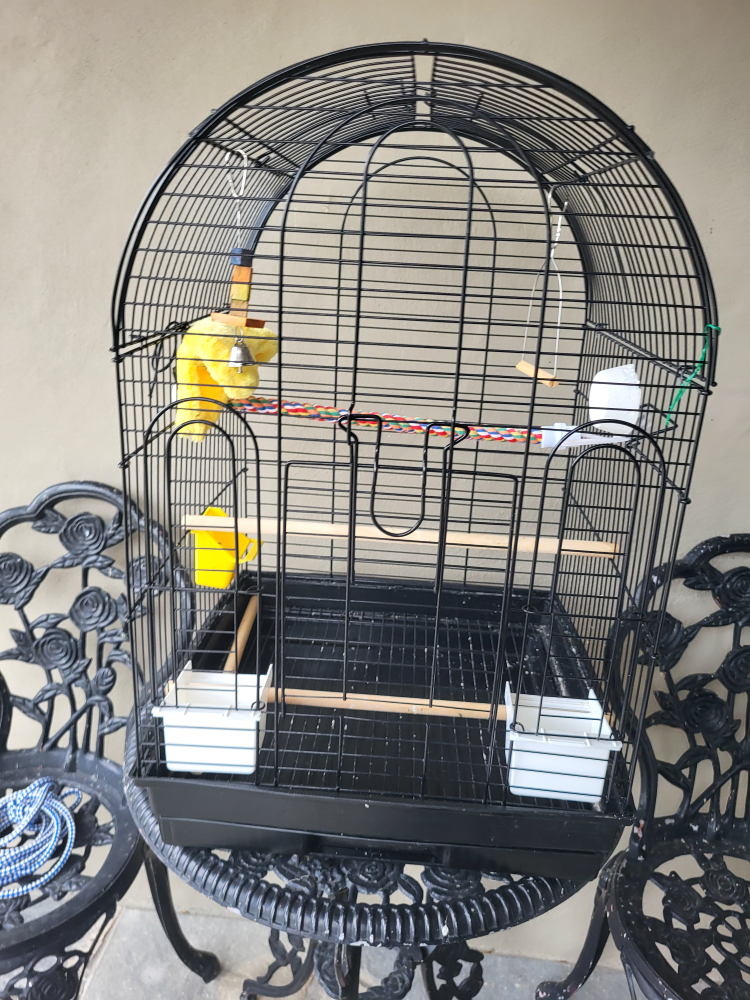 bird cage image indicator(2)