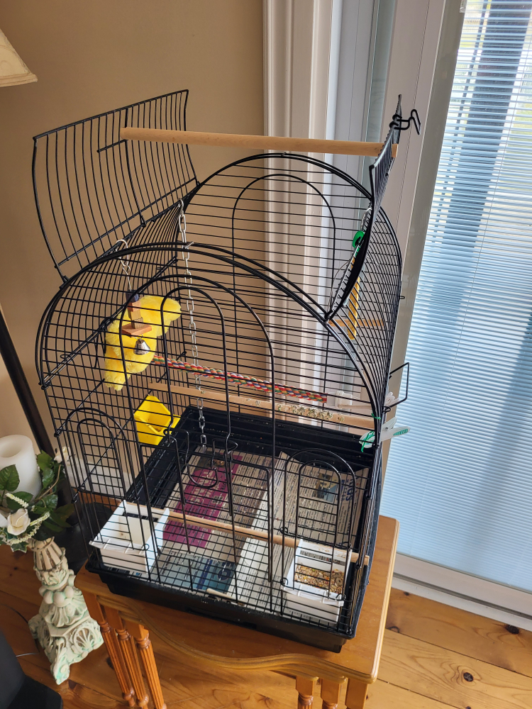 bird cage image indicator(4)