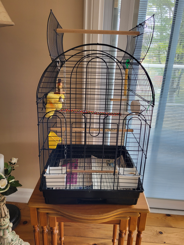 bird cage image indicator(6)