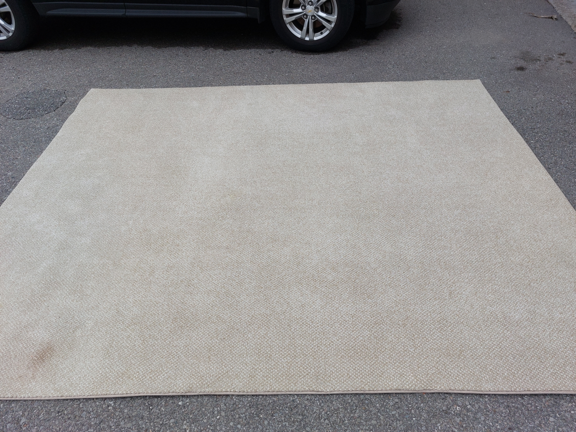 Area Rug