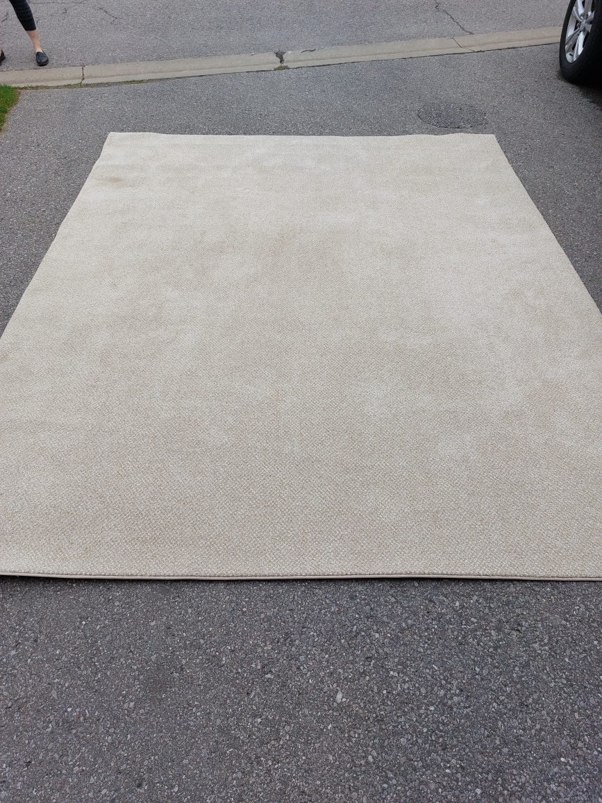 Area Rug - photo 2