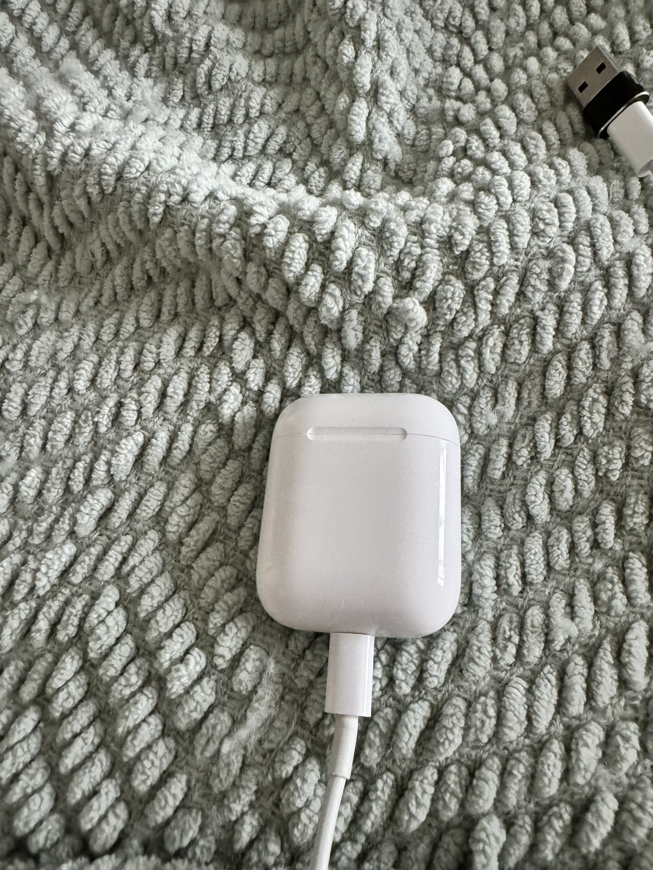 Apple AirPods - photo 4