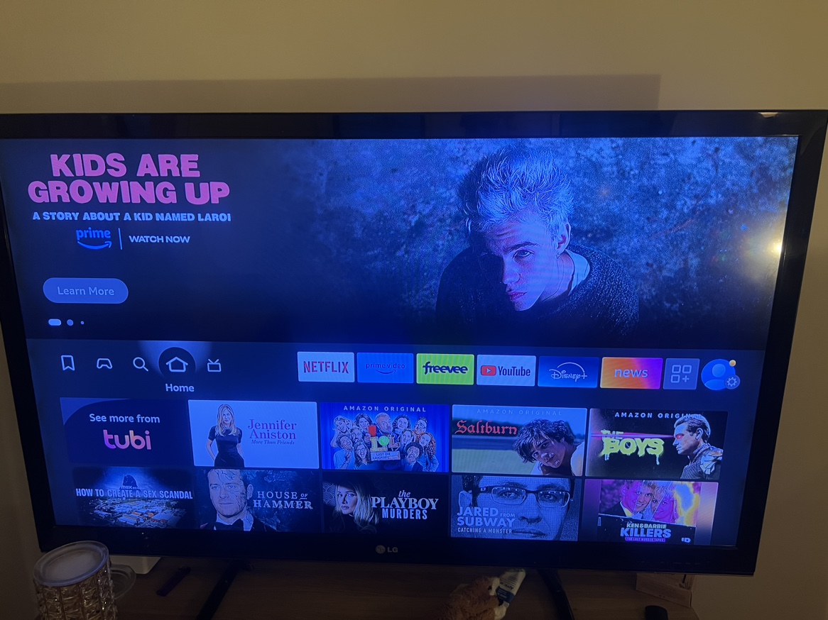 LG 55inch