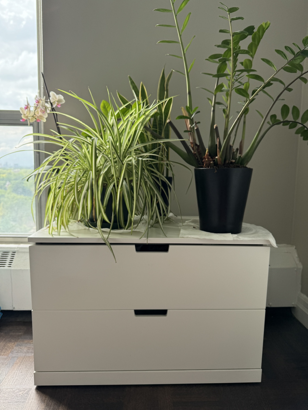 NORDLI chest of 2 drawers - photo 3