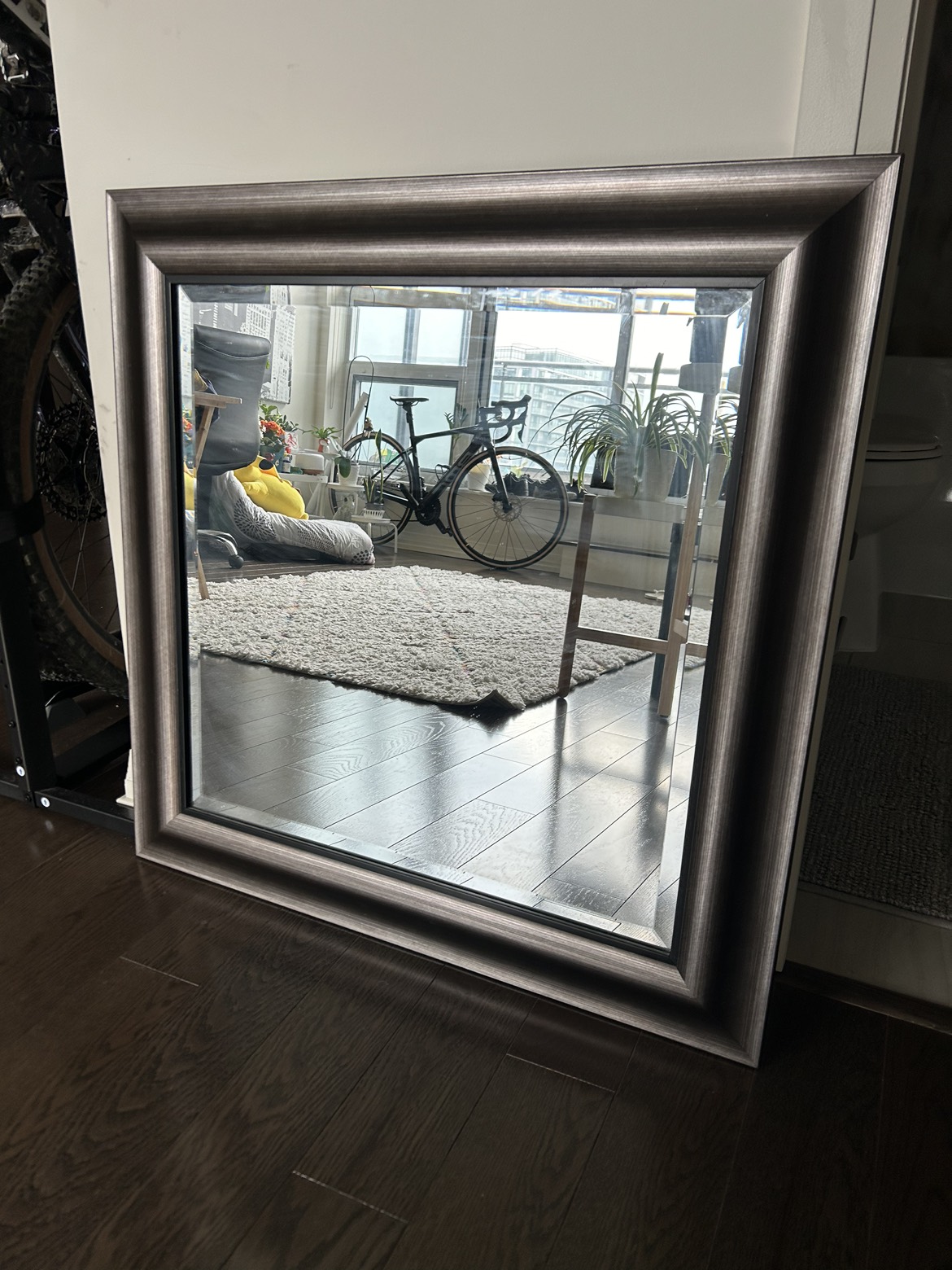 Elegant Gray Mirror