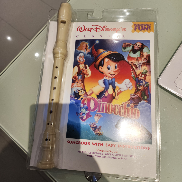 New Sealed Kids Recorder with Disney book