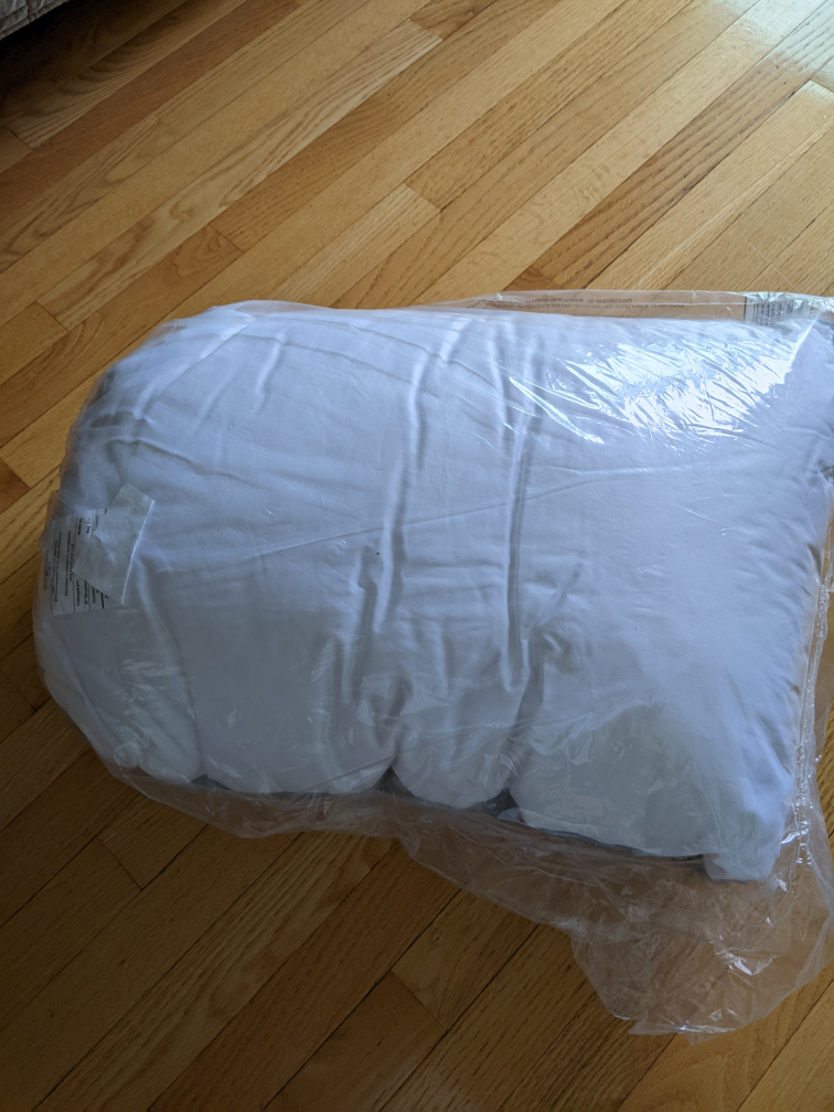 🥕 Brand New Down Pillow (one only) thumbnail