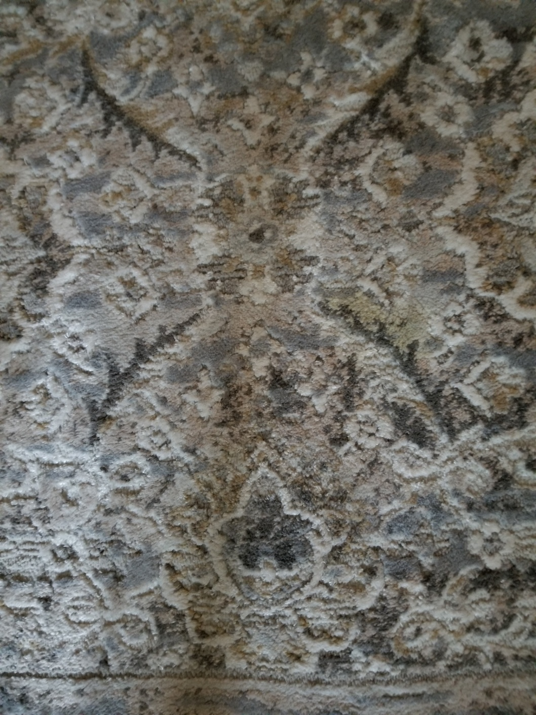 Area Rug - photo 2