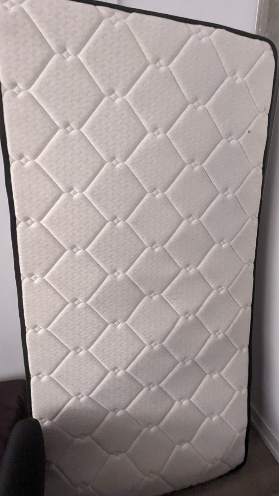 Free twin size mattress!