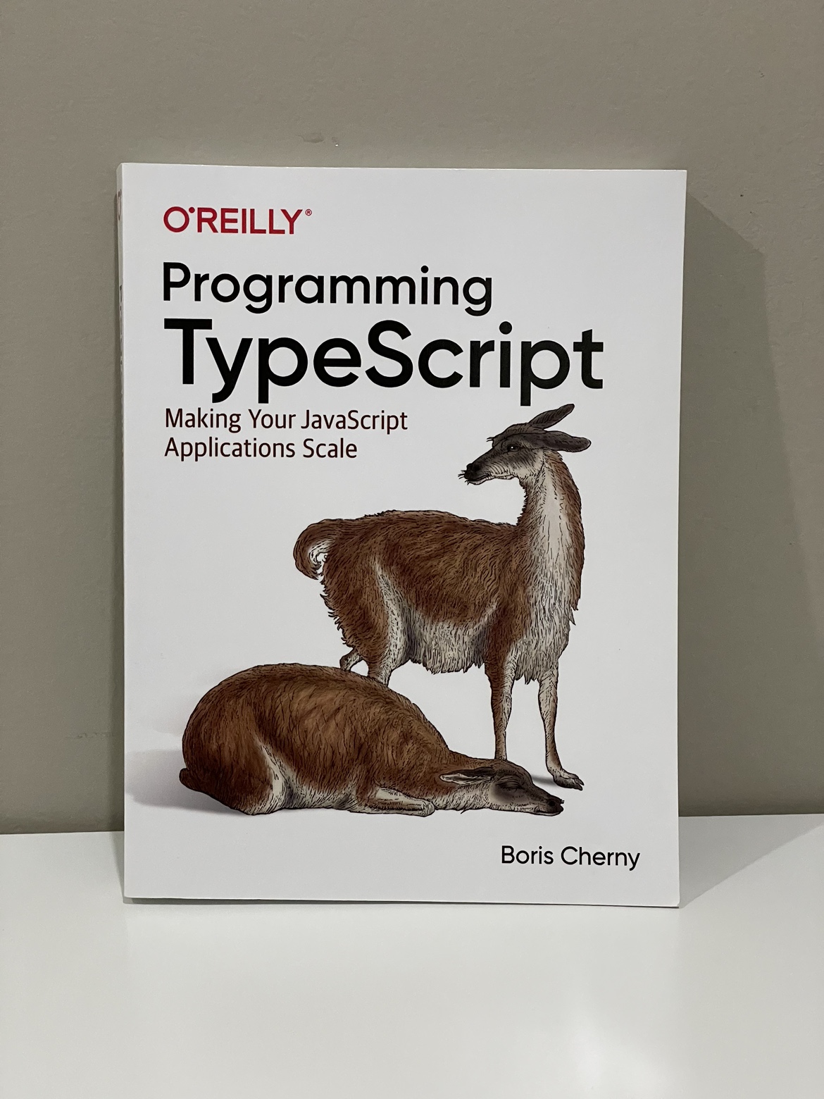 Programming Typescript Book thumbnail