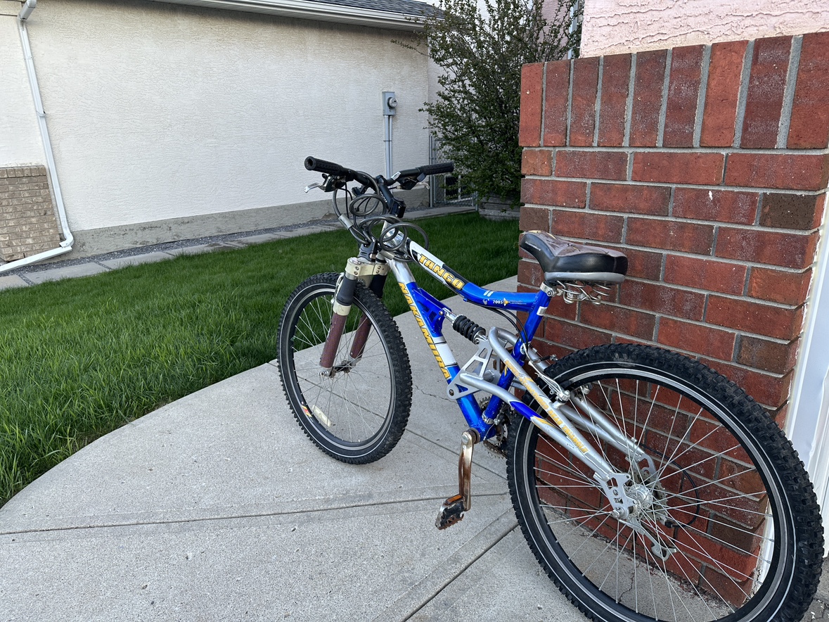 Affordable Bike for Sale, Need repairs - photo 2