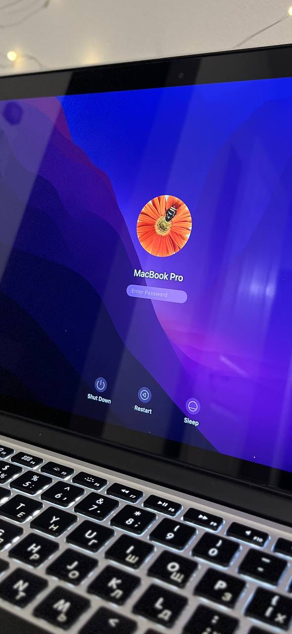 MacBook Air Pro 2015 - photo 3