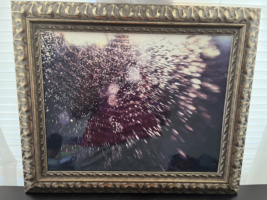 Gold Purple Picture Frames