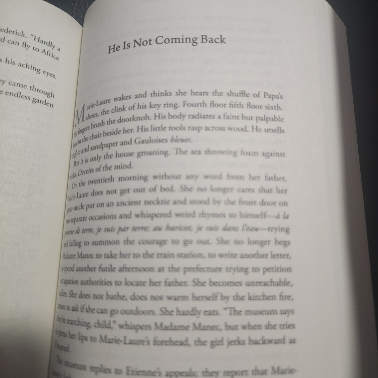 🥕 All the light we cannot see image indicator(3)