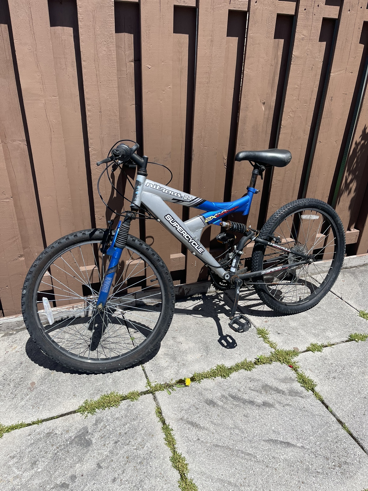 Adult Bike