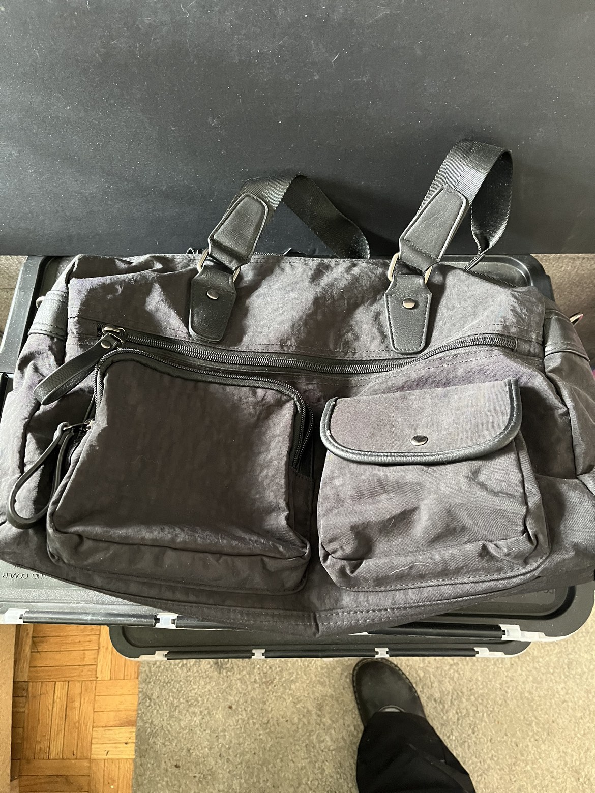Travel or Overnight bag