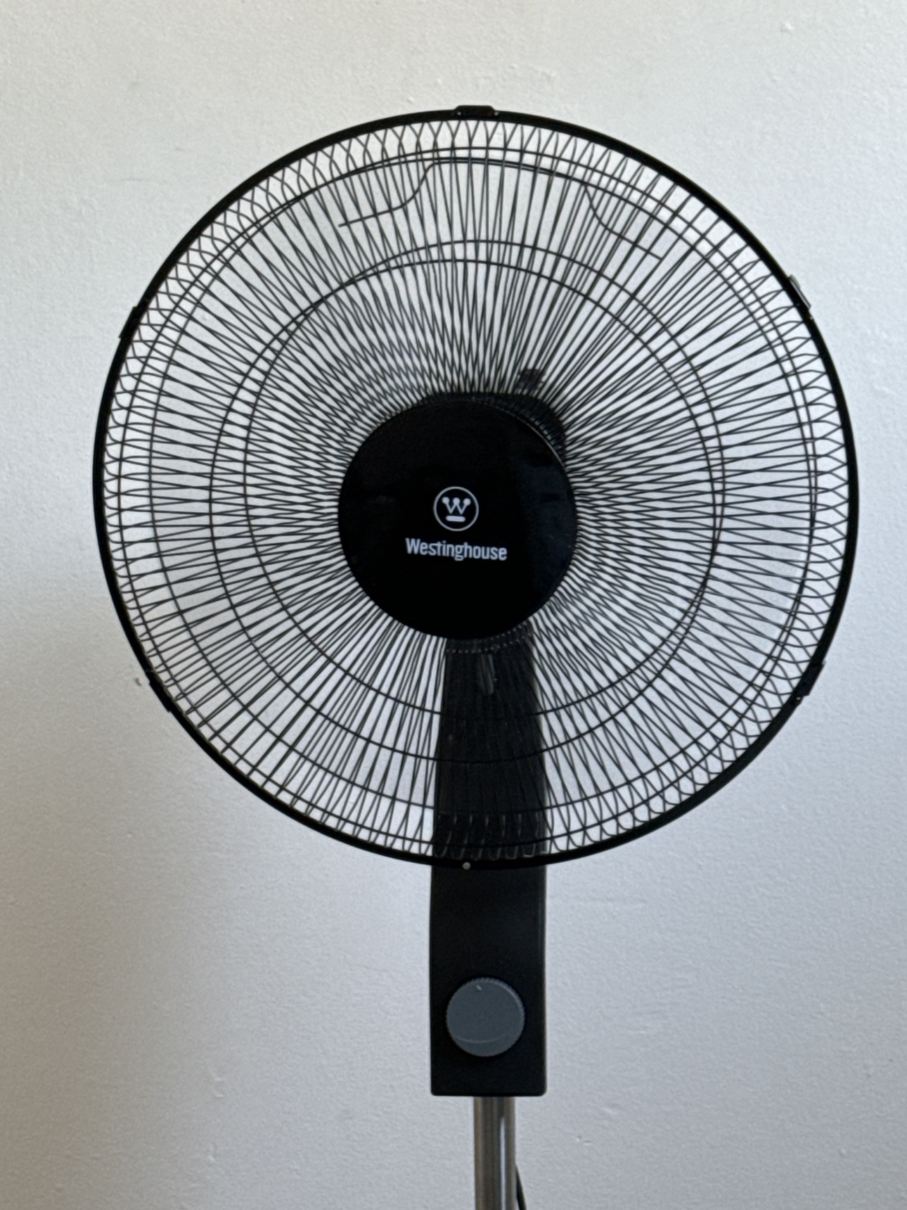 Fan for sale