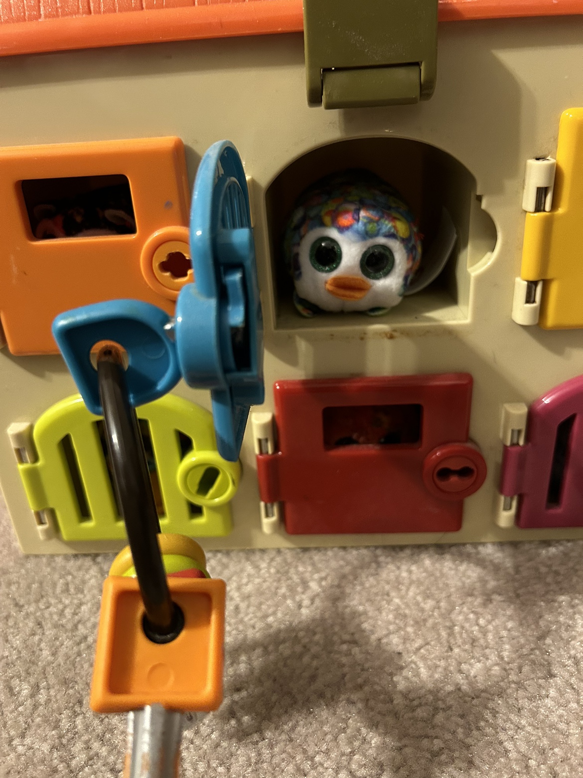 Critter clinic image indicator(4)