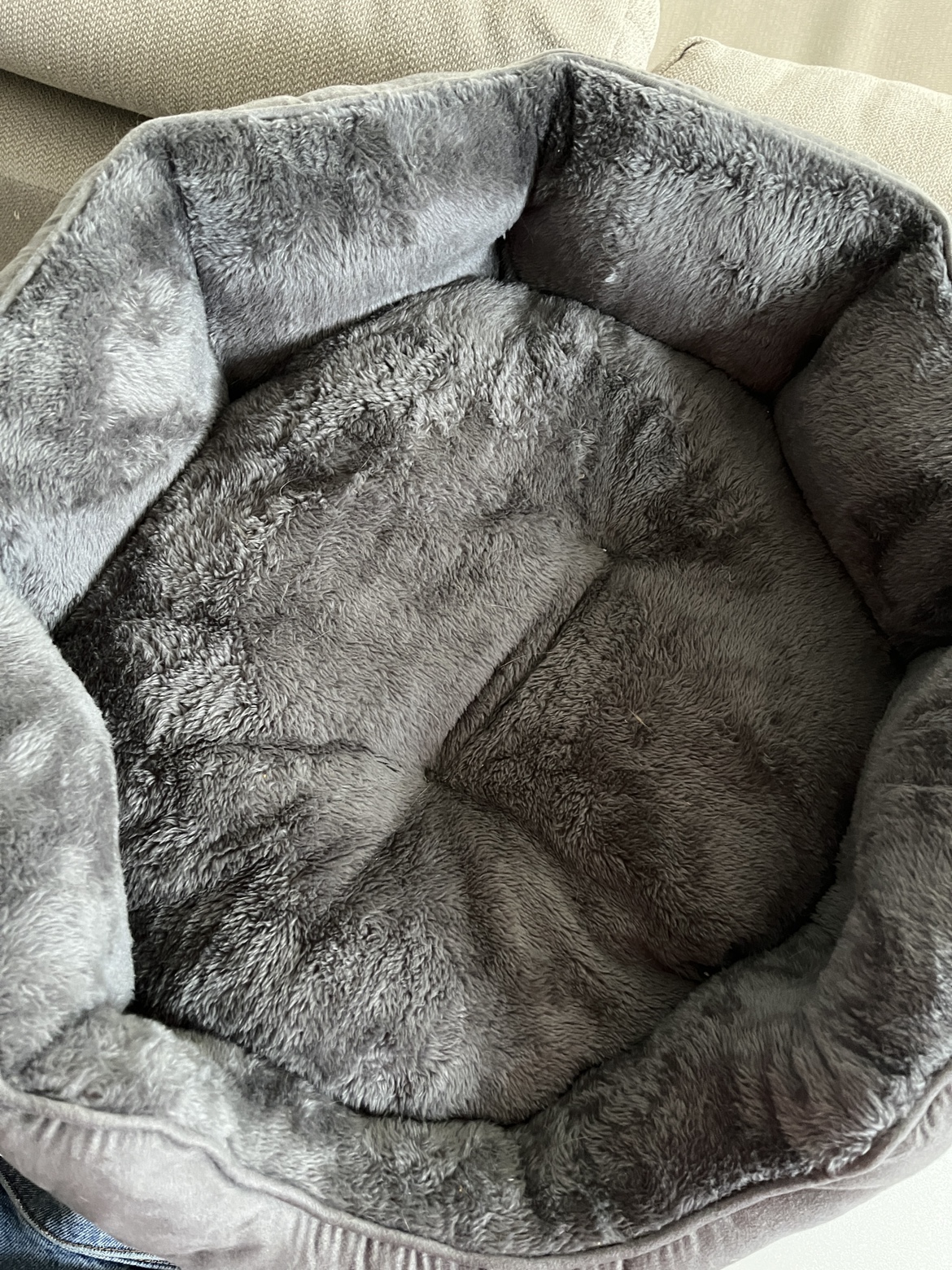 SMALL DOG/CAT BED image indicator(2)